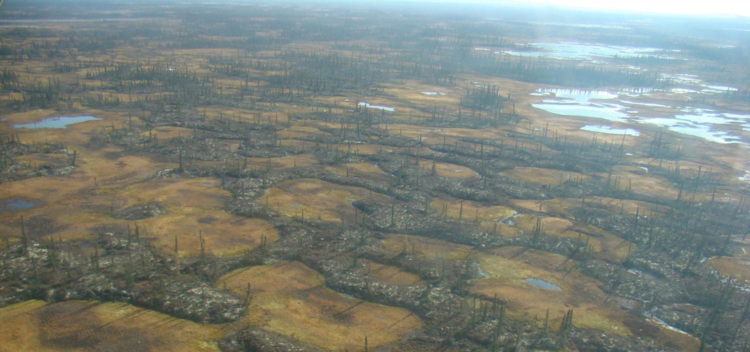 Permafrost peatland in Innoko National Wildlife Refuge in Alaska